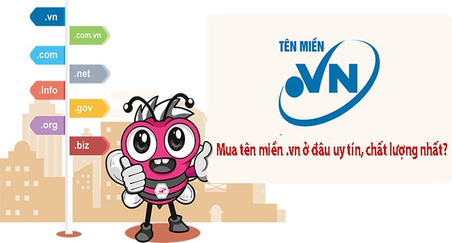 Mua tên miền .vn ở đâu uy tín?